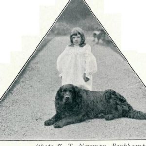 Dog Id - GeneVista animal DNA testing