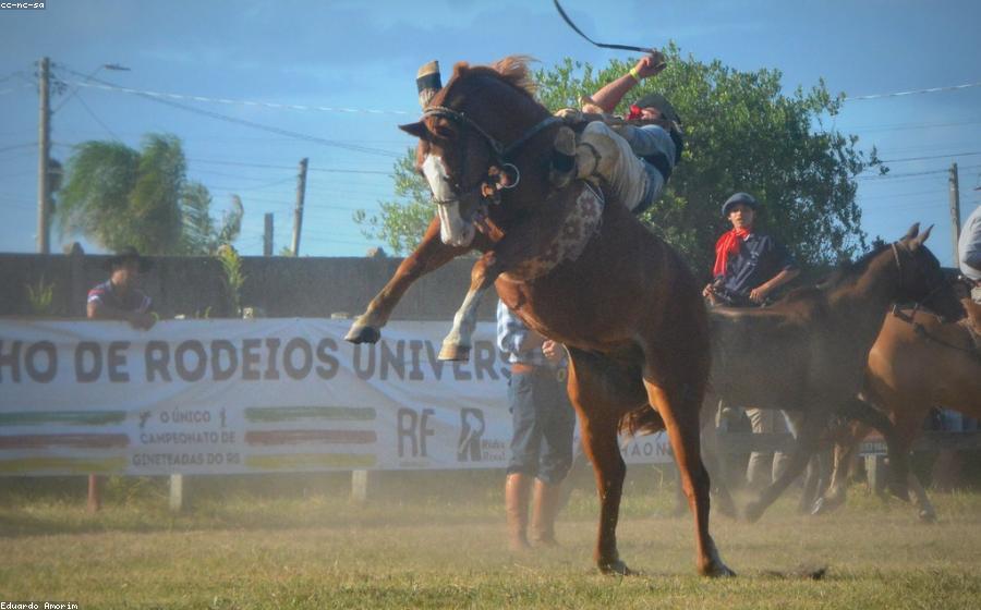 Horse Panel - GeneVista animal DNA testing