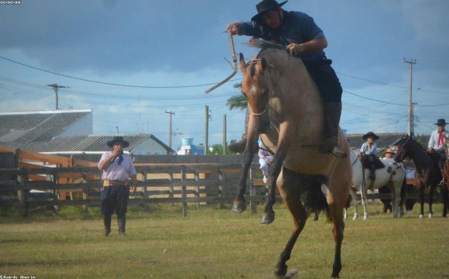 Horse Parentage - GeneVista animal DNA testing